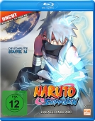 Naruto Shippuden - Staffel 16