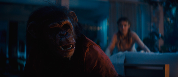 Primate?>