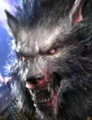 RAID - Brakus