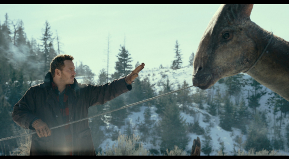 © 2021 Universal Studios and Storyteller Distribution LCC. All Rights Reserved.